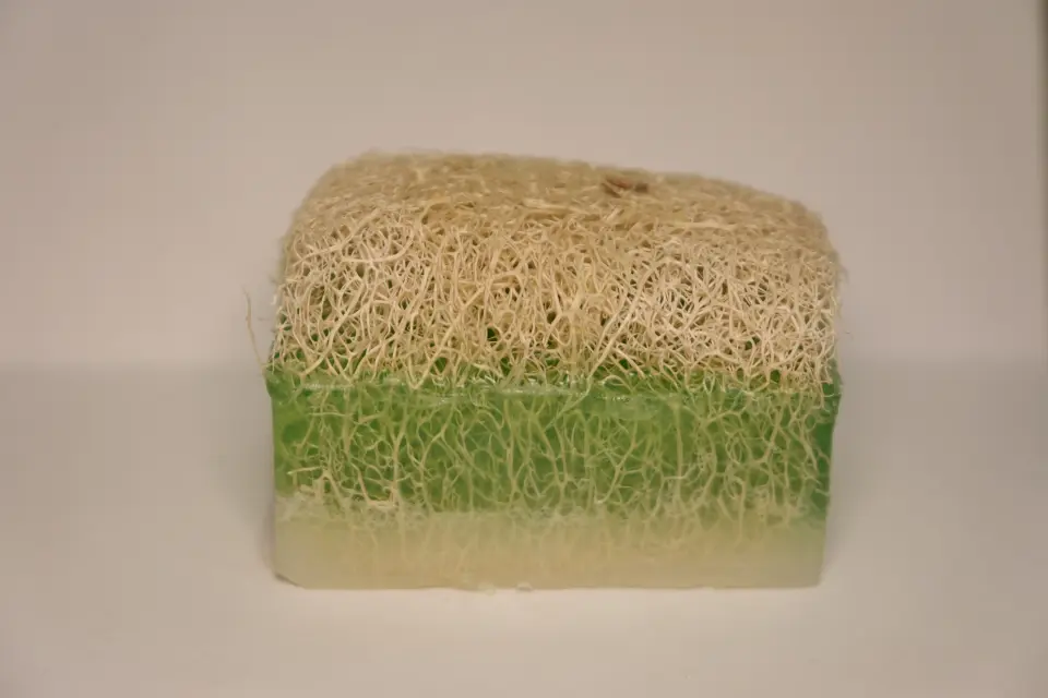 Eşek Sütlü Aloevera Sabunu 160gr